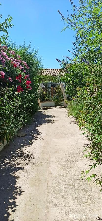 Secret Garden Chez Gilles et Tra -T2 super mignon, neuf et indépendant , dans cadre agréable et zen Valergues Extérieur photo